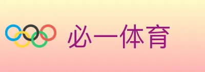 必一体育 Logo